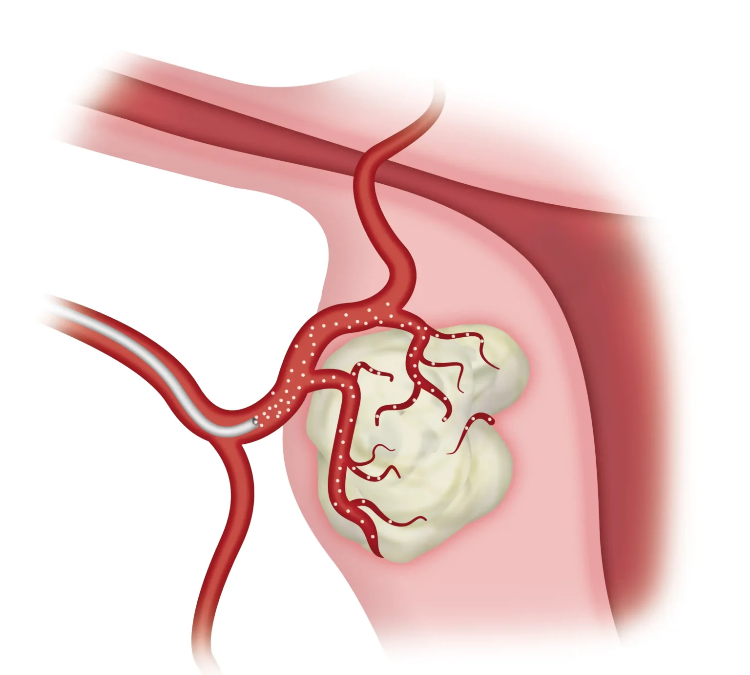 women-health